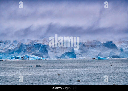 National Geographic, Straße tripblue Eis der Gletscher Kronebreen oder Krone, Kongsfjord, Ny-Ålesund, Spitzbergen oder Spitzbergen, Europa Stockfoto