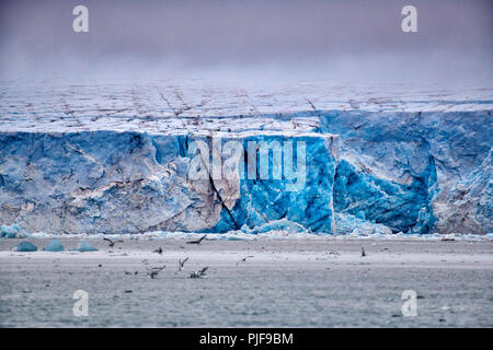 National Geographic, Straße tripblue Eis der Gletscher Kronebreen oder Krone, Kongsfjord, Ny-Ålesund, Spitzbergen oder Spitzbergen, Europa Stockfoto
