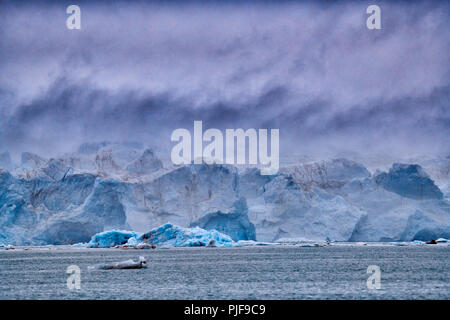 National Geographic, Straße tripblue Eis der Gletscher Kronebreen oder Krone, Kongsfjord, Ny-Ålesund, Spitzbergen oder Spitzbergen, Europa Stockfoto