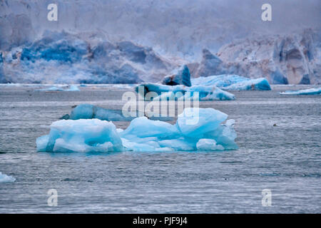 National Geographic, Straße tripblue Eis der Gletscher Kronebreen oder Krone, Kongsfjord, Ny-Ålesund, Spitzbergen oder Spitzbergen, Europa Stockfoto
