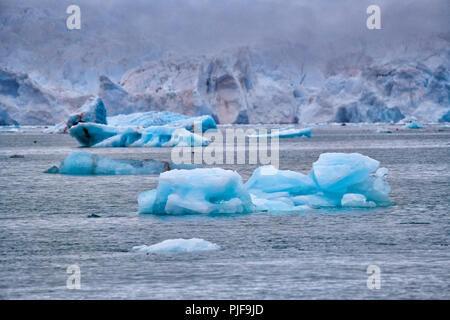 National Geographic, Straße tripblue Eis der Gletscher Kronebreen oder Krone, Kongsfjord, Ny-Ålesund, Spitzbergen oder Spitzbergen, Europa Stockfoto