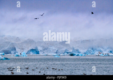 National Geographic, Straße tripblue Eis der Gletscher Kronebreen oder Krone, Kongsfjord, Ny-Ålesund, Spitzbergen oder Spitzbergen, Europa Stockfoto