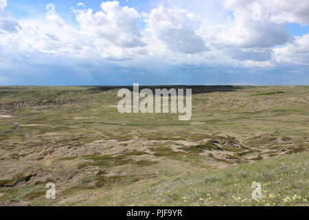 Prärien Stockfoto