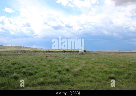 Vieh Rutsche auf den Prärien Stockfoto