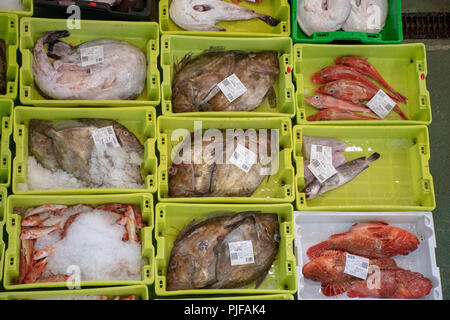 Kunden Prüfen der Verriegelung am Hafen Fischmarkt in der kleinen Stadt am Meer, Llanes Spanien. Stockfoto