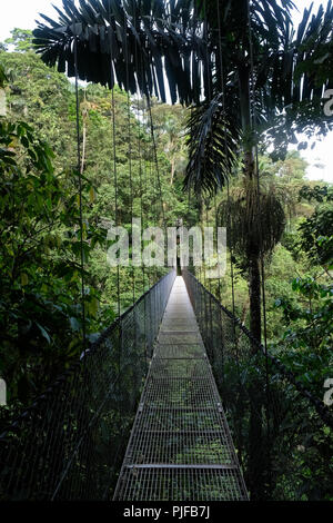 Hängebrücke in Costa Rica Stockfoto