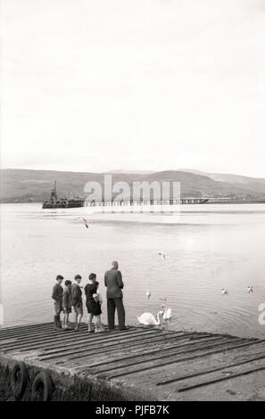 1950er Jahre, Mann mit jungen Feeding Ducks durch einen kleinen Steg auf einem lcoh, Hebriden, Western Isles, Schottland, Großbritannien, mit einem langen hölzernen Pier und Plattform mit Kran in der Ferne. Stockfoto