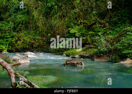 Rio celest, Costa Rica. Stockfoto