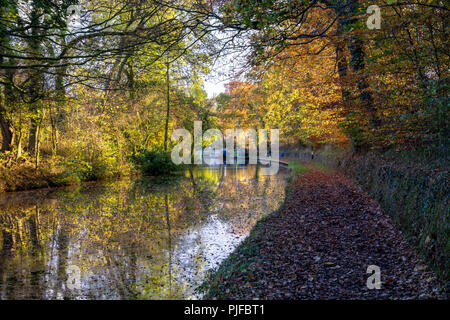 Lancaster Canal an Salwick in der Nähe von Preston, Lancashire Stockfoto