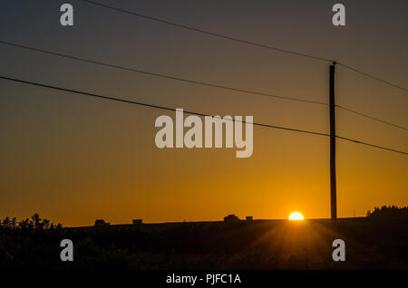 Telefon und Hydro Linien kreuzen ein Feld und orange sky. Sonnenuntergang in French River, Prince Edward Island. Stockfoto