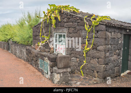 Typisches Haus aus vulkanischen Gesteinen, Verdelho Wein Region, Insel Pico, Azoren, Portugal Stockfoto