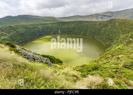 Crater Lake mit Hortensien im Vordergrund, Caldeira Funda. Azoren, Portugal Stockfoto