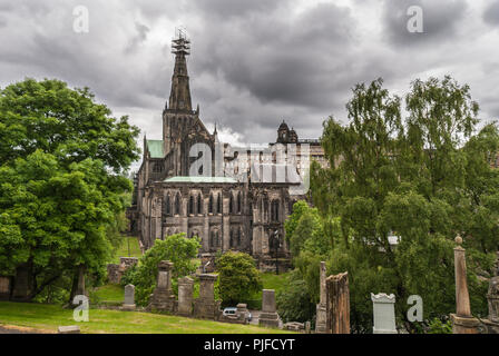 Glasgow, Schottland, Großbritannien, 17. Juni 2012: Der Dom mit grünen Dächern und Dunkelbraun spire mit Gerüst, auf dem ganz oben, von NECROPOLI gesehen Stockfoto