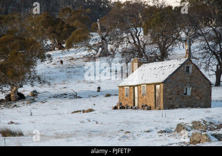 Kleine Hütte im Schnee nach dem letzten Schneefall mit Kängurus im Hintergrund Stockfoto