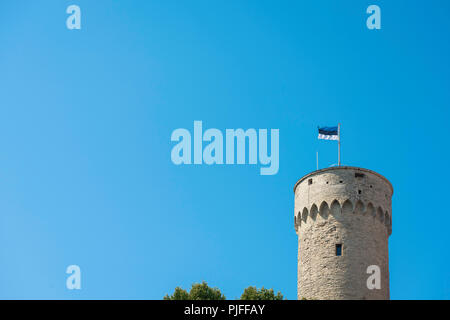 Flagge Estland Tallinn, Blick auf die Flagge von Estland auf der Oberseite der Pikk Hermann Turm auf Toompea Hügel im Zentrum von Tallinn, Estland. Stockfoto