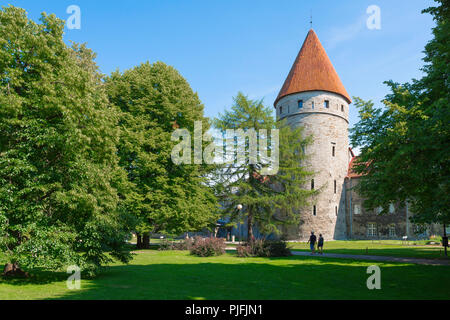 Tallinn park Garten, Blick auf die Stadt Park und Gärten in Richtung eines von neun Türmen, die durch die untere Stadtmauer in der Altstadt von Tallinn, Estland. Stockfoto