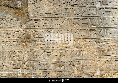 Sandstein Stele (steintafel) Der Ägyptische Vizekönig von Kusch Merymose (c1400BC) hieroglyphischer Text beschreibt seine Kampagnen gegen die Nubier. Brit Stockfoto