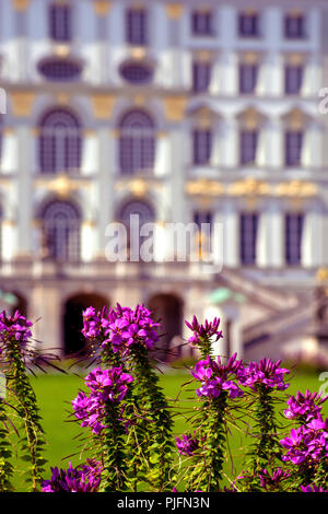 DE - Bayern: Schloss Nympfenburg München Stockfoto