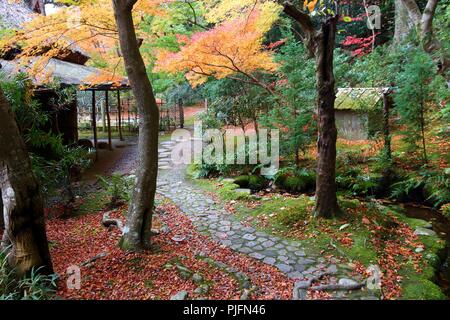 Herbst Laub Moos Garten in Japan - Rot momiji Blätter (Ahorn) in einem Japanischen Tee Garten von Yoshikien, Nara, Japan. Stockfoto