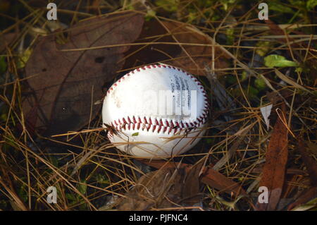 Baseball in Wasser Stockfoto