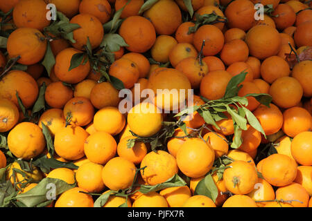 Vouliagmeni Athen Griechenland Samstag Markt Nahaufnahme von Orangen Stockfoto