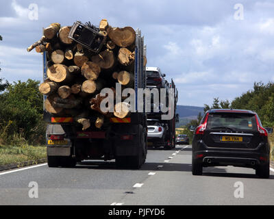 Wiltshire England Lkw Holztransport auf einer zweispurigen Straße 303 Stockfoto