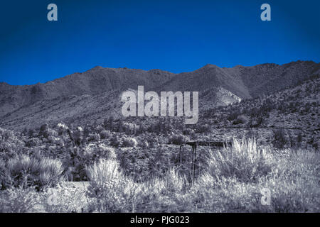 Schwarze und Weiße Wüste Landschaft mit weißen Büschen, Pinsel und unfruchtbaren Bergen unter einem blauen Himmel. Stockfoto