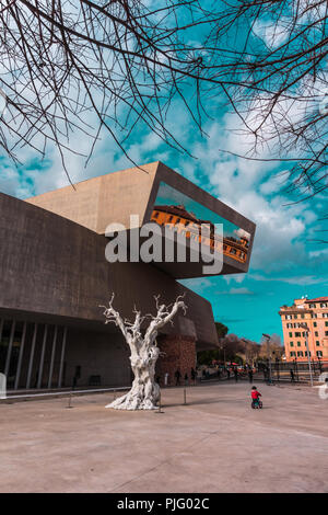 Weiß Baum im Innenhof von MAXXI Museum der XXI. Jahrhundert Kunst, Rom, Italien Stockfoto