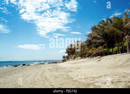Palmen und dem breiten, feinsandigen Strand in der Nähe von Vichayito Mancora Strand Stadt, Region Piura, Peru. Aug 2018 Stockfoto