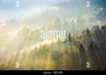 Schöne Natur Szene im Nebel. Stösse von Licht durch Dunst unter den Bäumen den Berg hinunter kommen. Wunderschöne herbstliche Atmosphäre Stockfoto