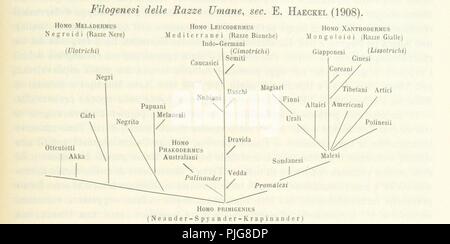 Bild von Seite 1327 von "Antropologia Generale. Lezioni su l'uomo Secondo la Teoria dell'Evoluzione. raccolte e pubblicate. Da G. Raverdino e G. B. Vigo'. Stockfoto