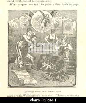 Bild von Seite 229 von 'Mysteries und Elend von der großen Städte, New York, Washington, San Francisco, Salt Lake City und New Orleans. Illustriert mit zahlreichen Gravuren'. Stockfoto