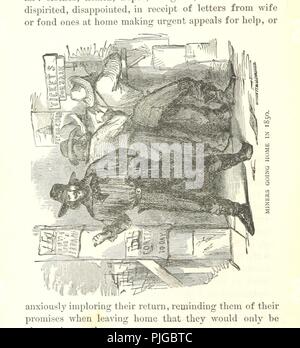 Bild von Seite 254 von 'Mysteries und Elend von der großen Städte, New York, Washington, San Francisco, Salt Lake City und New Orleans. Illustriert mit zahlreichen Gravuren'. Stockfoto
