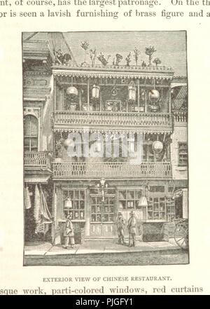 Bild von Seite 313 von 'Mysteries und Elend von der großen Städte, New York, Washington, San Francisco, Salt Lake City und New Orleans. Illustriert mit zahlreichen Gravuren'. Stockfoto