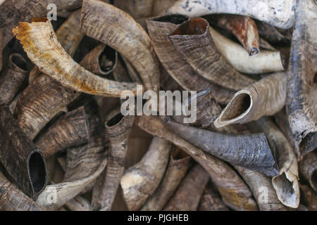 Rosch Haschana Hintergrund Shofar Haufen das Jüdische Neue Jahr Stockfoto