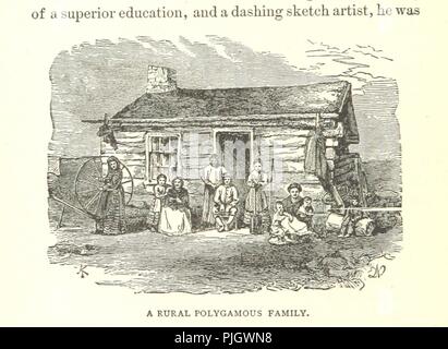 Bild von Seite 484 von 'Mysteries und Elend von der großen Städte, New York, Washington, San Francisco, Salt Lake City und New Orleans. Illustriert mit zahlreichen Gravuren'. Stockfoto
