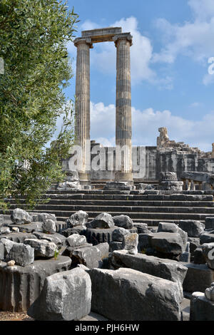 Ruiniert Spalten des alten Tempel des Apollo in Didim, Türkei Stockfoto