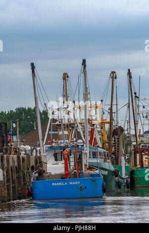 Gruppe der Fischerboote am Kings Lynn fisher Flotte, Kings Lynn, Norfolk, Großbritannien. Stockfoto