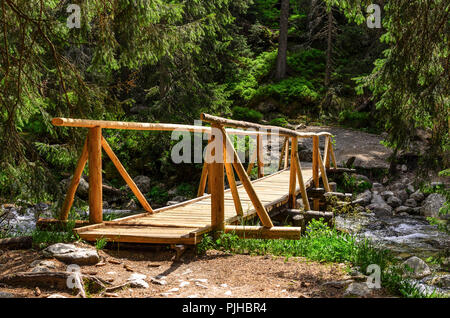 Hölzerne Brücke über einen Fluss. Close-up. Stockfoto