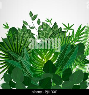 Rahmen aus Blätter auf einem weißen Hintergrund. Jungle tropische Blumen vektor Grenze. Stock Vektor