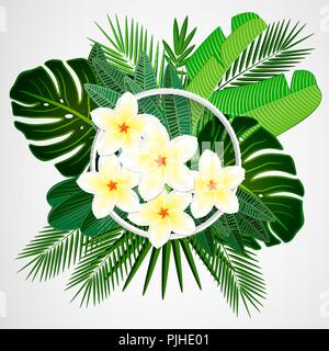 Tropische Blätter mit plumeria Blumen und weißen Rahmen auf Hintergrund isolieren. Stock Vektor