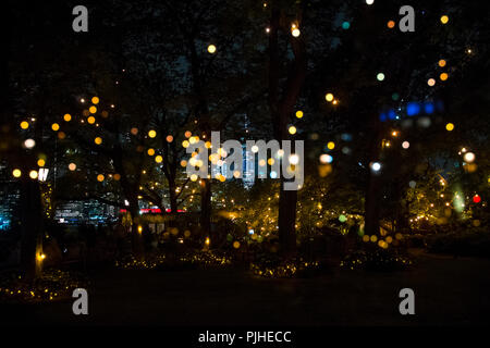 Am Abend leuchtet, Brooklyn, New York Stockfoto