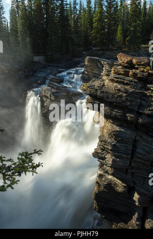Detail der Athabasca Falls in Kanada Stockfoto
