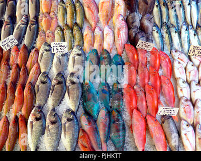 Fisch in Brixton, London Abschaltdruck Stockfoto