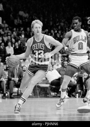 Boston Celtics Hall of Famer Larry Bird bringt den Ball gegen die Chicago Bulls während eines Spiels im Chicago Stadium im Jahr 1985. Stockfoto