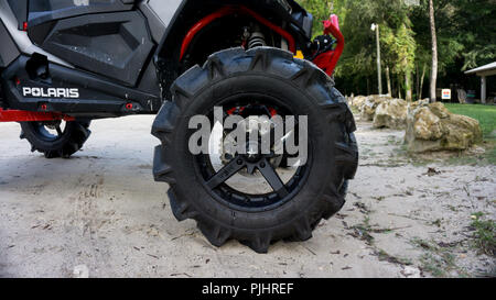 GINNIE SPRINGS, FL. USA - 1. AUGUST 2018. Nahaufnahme von MSA Rad von einem rzr sport Seite an Seite sauber im Naturpark Stockfoto