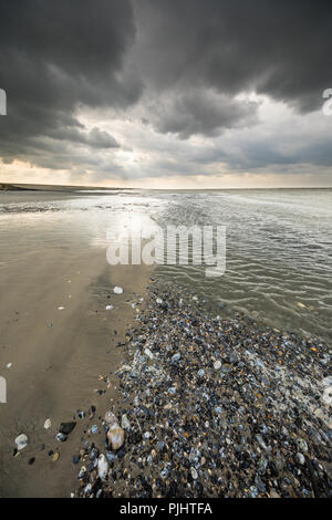 Die Bucht der Somme in der Picardie, Cayeux-sur-Mer, Frankreich Stockfoto