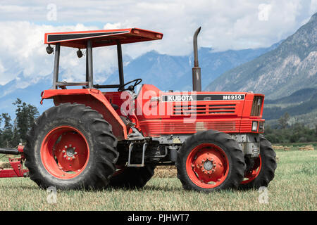 Brisco, BC/Kanada - 11. Juli 2018: Farm Traktor in einer Heu Feld in den kanadischen Rockies Stockfoto