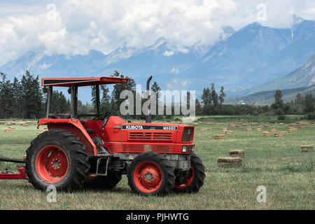 Brisco, BC/Kanada - 11. Juli 2018: Farm Traktor in einer Heu Feld in den kanadischen Rockies Stockfoto