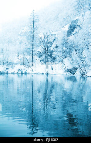 Reflexion der Bäume unter dem Schnee im Winter auf dem See im Naturpark Plitvice, Kroatien Stockfoto